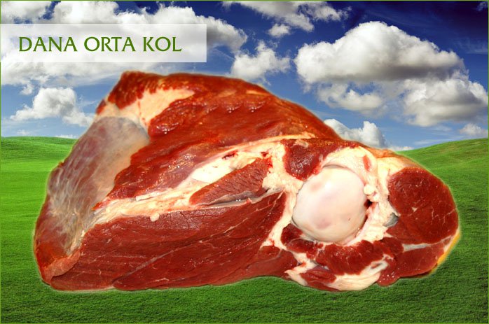 DANA ORTA KOL