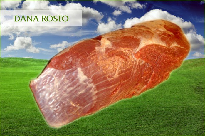 DANA ROSTO