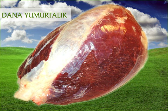 DANA YUMURTALIK