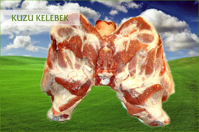 KUZU KELEBEK
