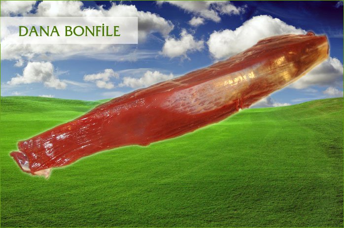 DANA BONFİLE